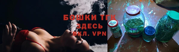 молекула духа Гусиноозёрск