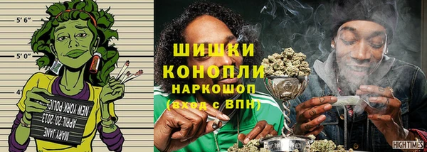 соль ск Гусев