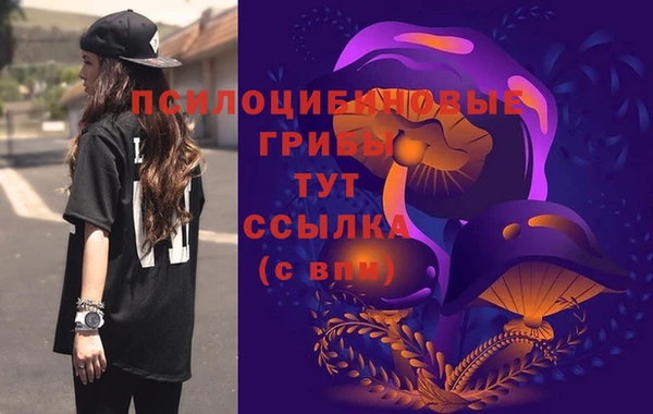 соль ск Гусев