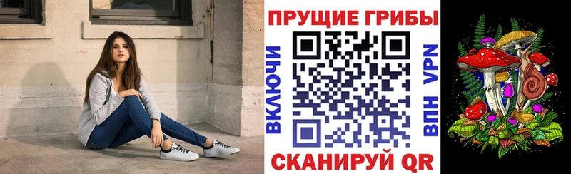 как найти закладки  Данков  ОМГ ОМГ как зайти  Псилоцибиновые грибы прущие грибы 