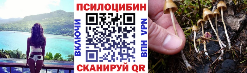 Псилоцибиновые грибы MAGIC MUSHROOMS Данков